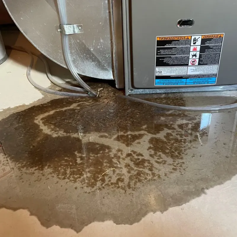 Pipe Burst and Leak Restoration in Larned, KS