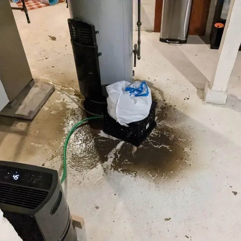 Sewage Backup Cleanup Service in Larned, KS